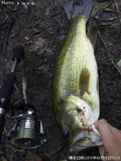 �֥�å��Х�