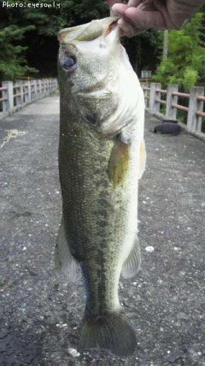 �֥�å��Х�