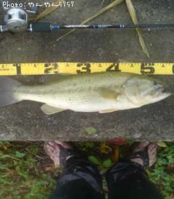 �֥�å��Х�