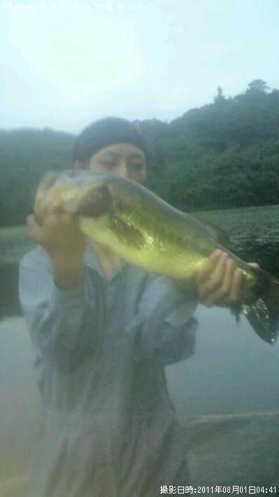 �֥�å��Х�