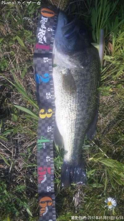 �֥�å��Х�