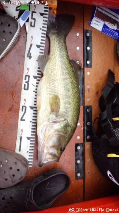 �֥�å��Х�