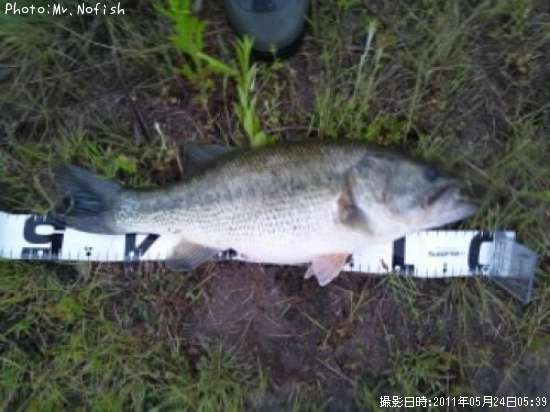 �֥�å��Х�