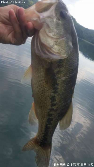 �֥�å��Х�