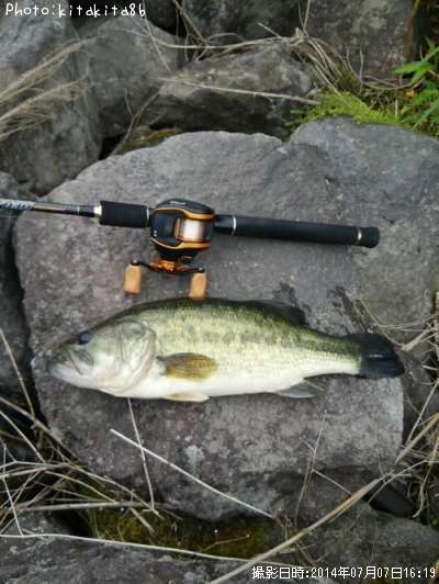 �֥�å��Х�