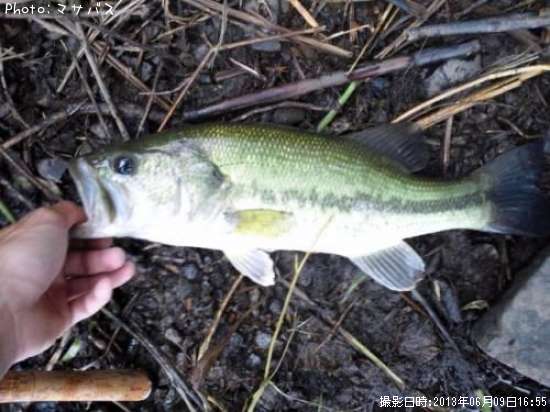 �֥�å��Х����֥롼����