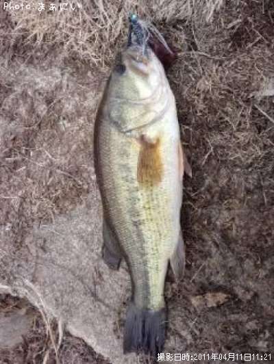 �֥�å��Х��ʥ顼����