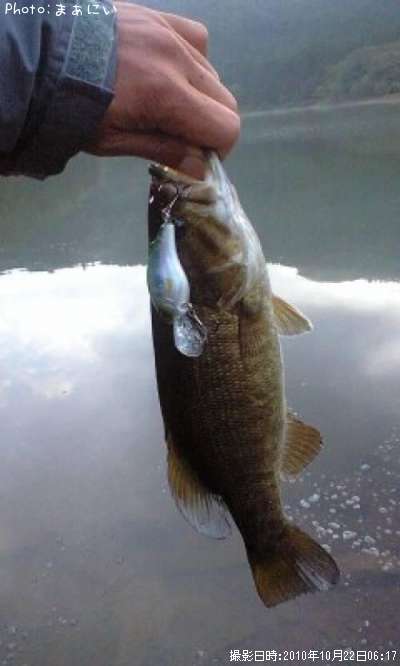 �֥�å��Х��ʥ��⡼���