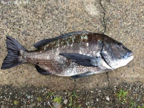 ��֥�å������Ĥ�ι���