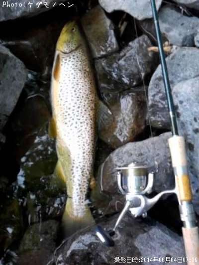 �֥饦��ȥ饦��