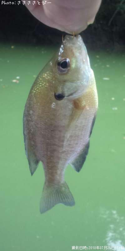 �֥롼����