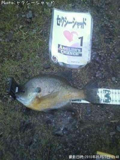 �֥롼����