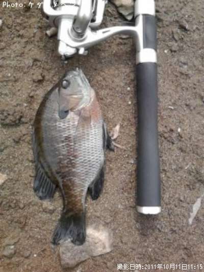 �֥롼����