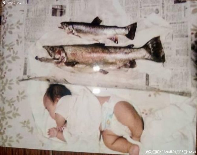 �֥�å��ȥ饦��