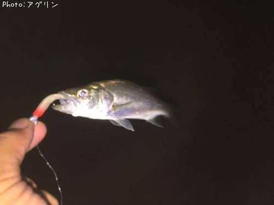 �����Х�