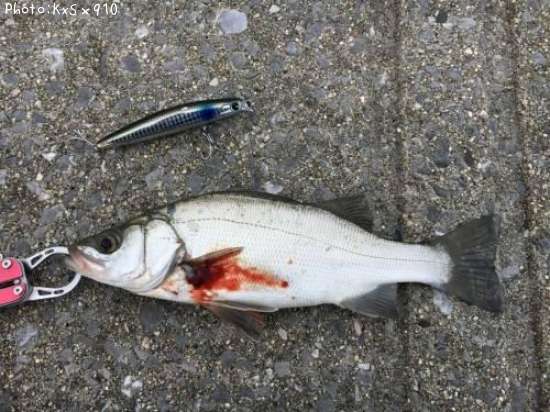 �����Х�