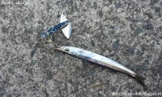 ���ӥ��ޥ�