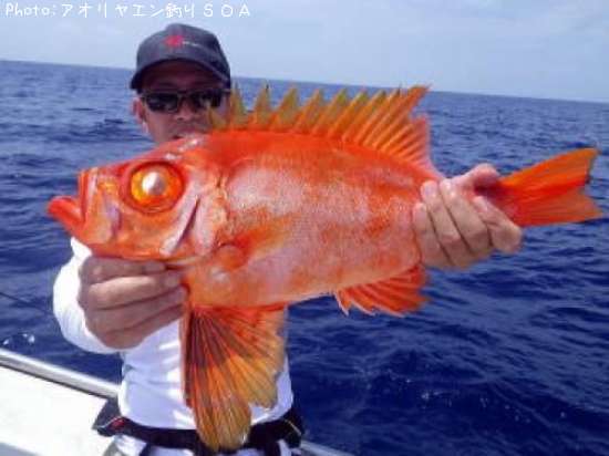 �����ᥭ��ȥ�