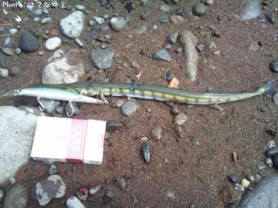 �������ϥޥ���