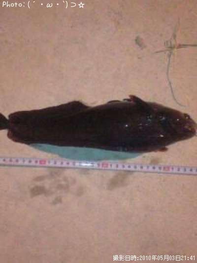 ���������ʥ�