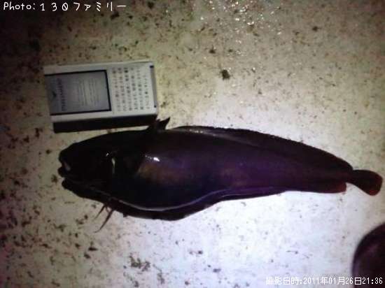 �������������ʥ�