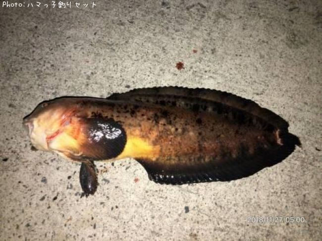 ������������