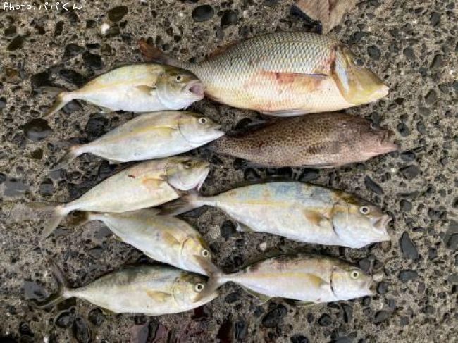 �ե��ե�����