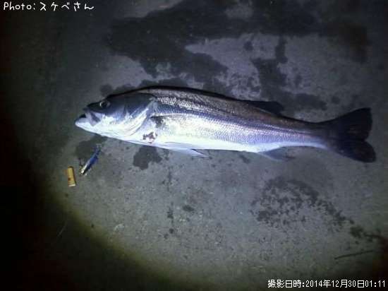 ���ڥեå���