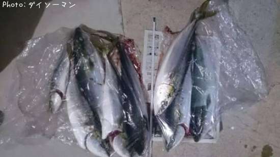 �ե��饲