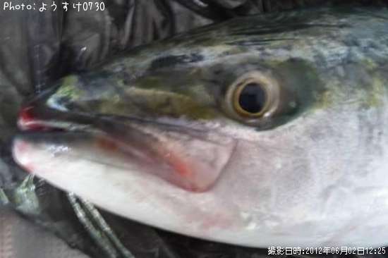 �ե��饮