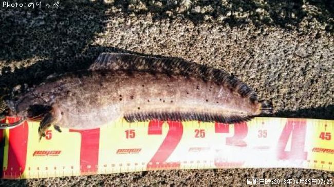 �ե������