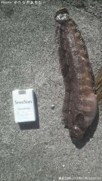 �ե������