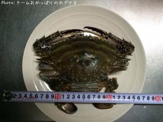 �����ˡ�