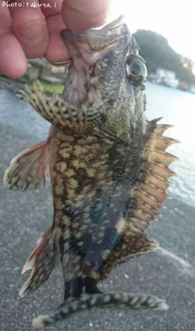 ���饫�֡���Х�