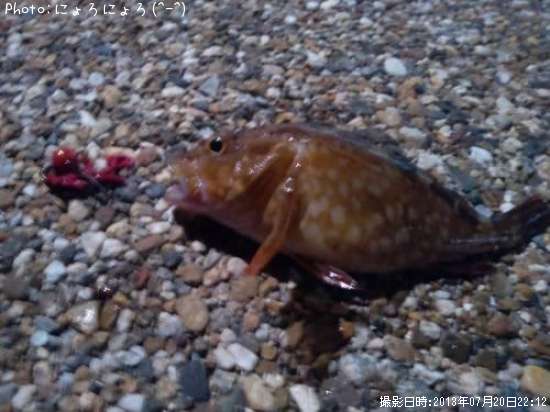 ���å���