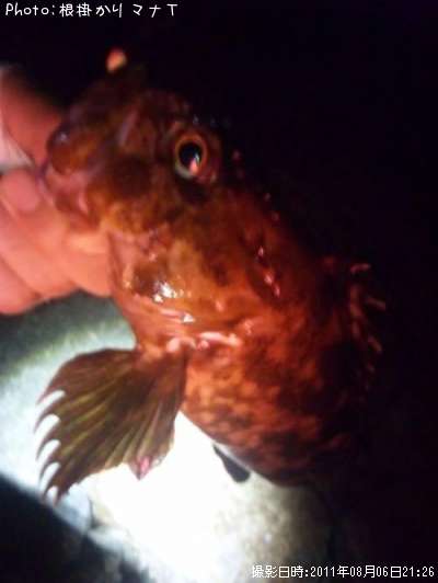 ���å���