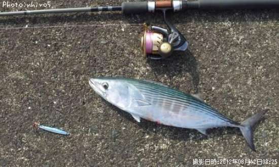 �����ĥ�