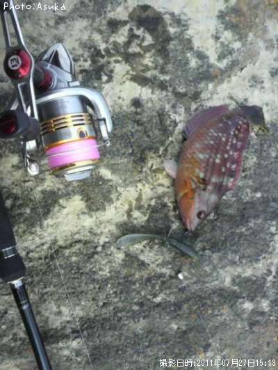 ī�������ߡ�