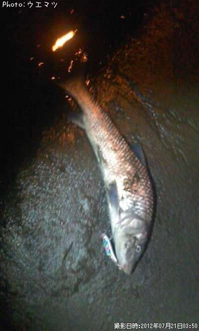 �����ˡ����