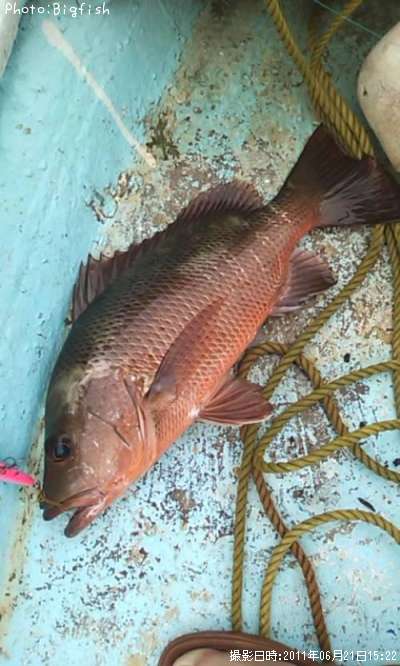 ���ޥե�����