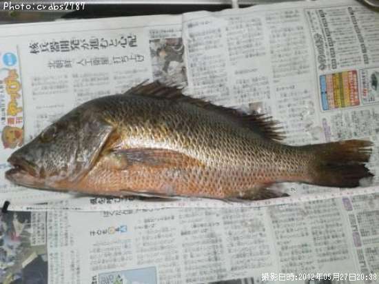 ���ޥե��ե�����