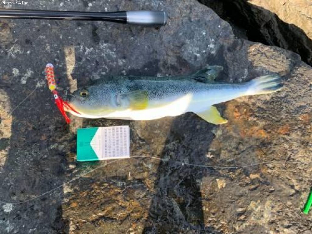 ���ޤդ���