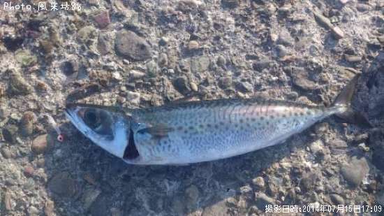 ���ޥ���