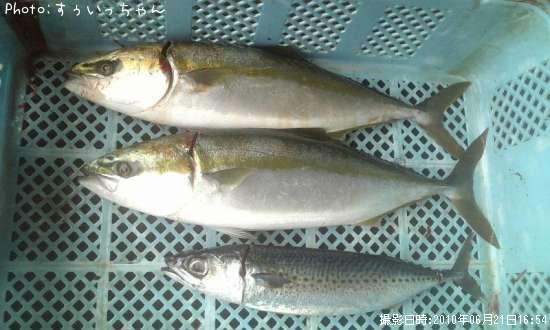 ���ޥ���