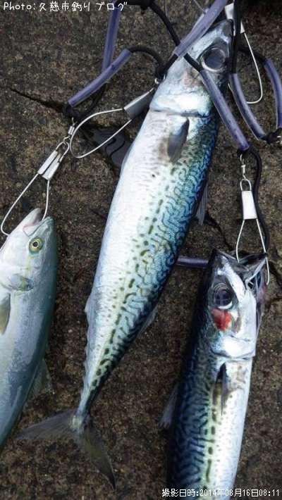 ���ޥ���