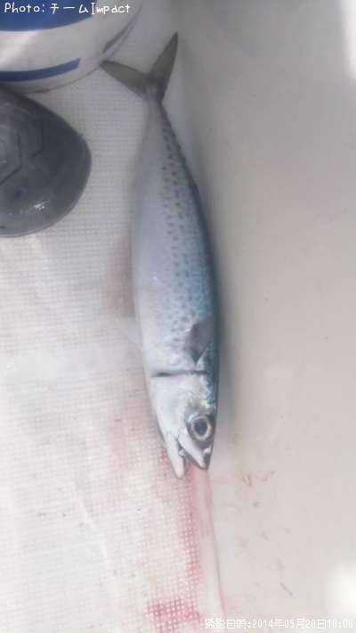 ���ޥ���