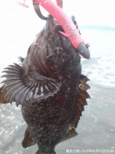 ���󥶥쥹��