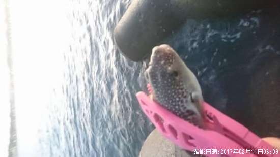 �����ա�