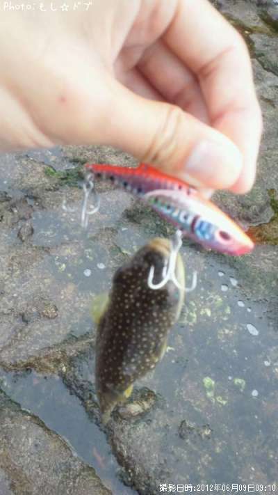 �����ա�