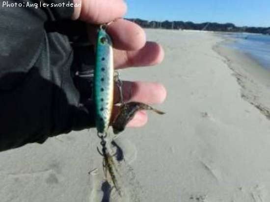 �����ա�